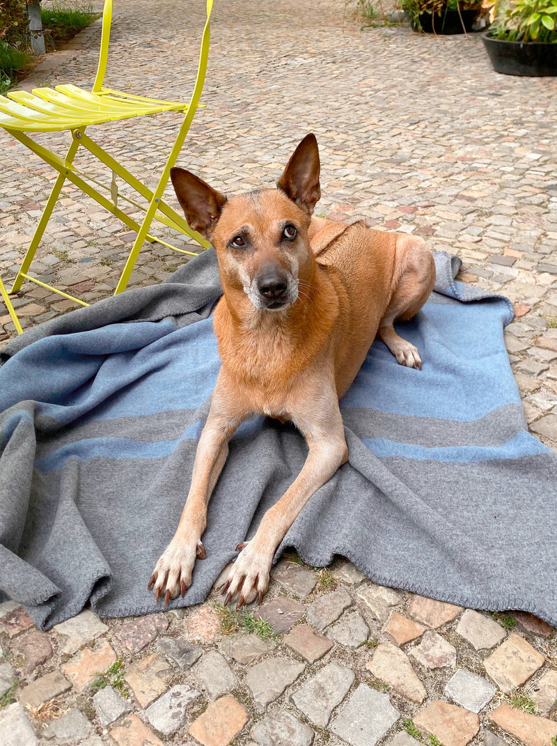 Weiche Hundedecke mit Streifenmuster in Grau Blau und quadratisch aus Merino gewebt für Haustiere als Kuscheldecke im Hundebett oder Sofa und auf Reisen mit Nachhaltigkeit und als das perfekte Geschenk für Hundeliebhaber